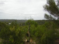 20041121-RedHill- 094 
